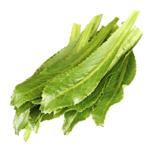 Picture of Sawtooth Coriander (Ngo Gai) per lb