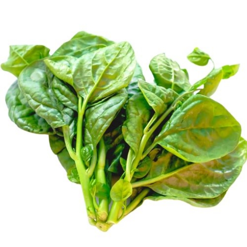 Picture of Vietnamese Spinach (Mong Toi Vietnam) per lb