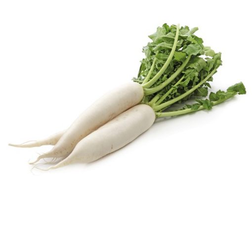 Picture of Daikon White Radish Cu Cai Trang