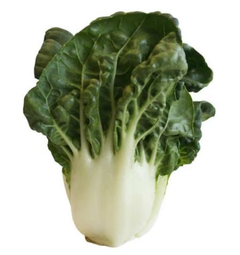 Picture of Small Bok Choy (Cai Trang Nho) per lb