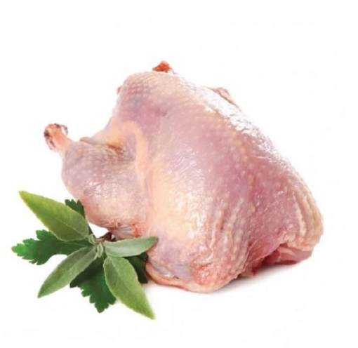 Picture of Whole Squab Each Frozen (Bo Cau Nguyen Con)