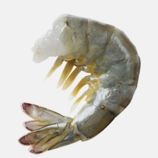 Picture of Headless White Shrimp 13/15, 1.5 lbs Bag