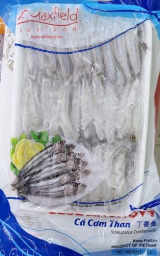 Picture of Maxfield Blue Anchovy (Ca Com Than) 14oz