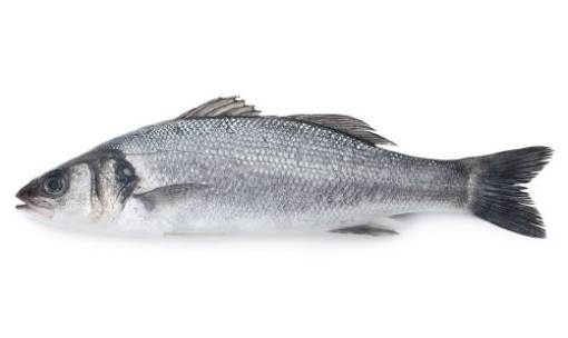 Picture of Seabass Whole Per Lb (Ca Hanh Bien) By Pound