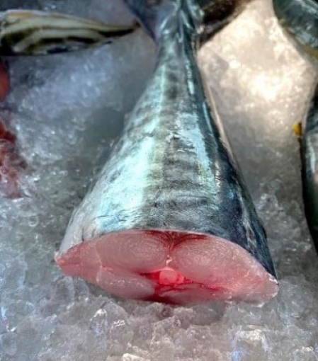 Picture of Fresh King Mackerel Tail (Duoi Ca Thu) By Pound