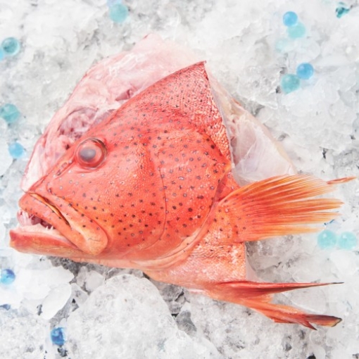 Picture of Fresh Grouper Fish Head (Dau Ca Mu) By Pound