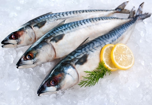 Picture of Norway Mackerel (Ca Nuc Na Uy) By Pound