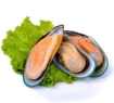 Picture of Oceankist Green Half-Shell Mussels Frozen 1.5 lbs