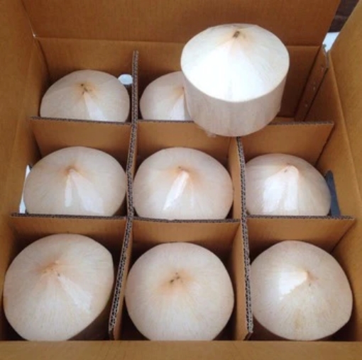 Picture of Fresh Coconut Box-No Return