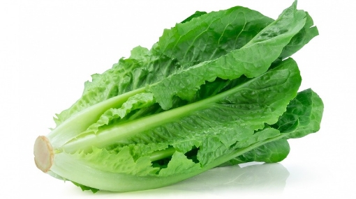 Picture of Romaine Lettuce Each