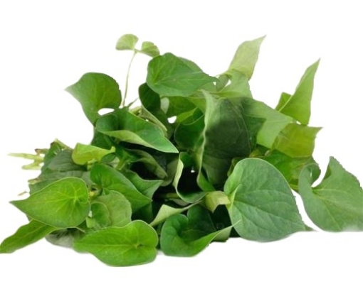 Picture of Fish Herb (Rau Dap Ca) Bunch